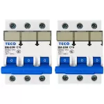 MCB TECO BM-63 3P C16